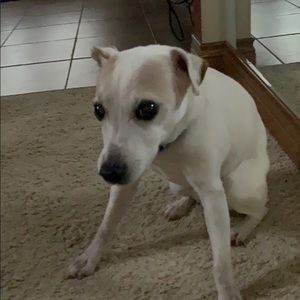 Meet your Posher, Lani